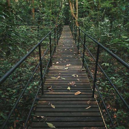 Khao Sok Tree House Resort Khao Sok National Park Dış mekan fotoğraf