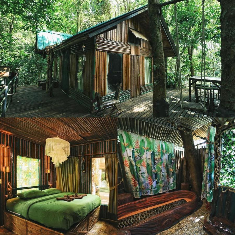 Khao Sok Tree House Resort Khao Sok National Park Dış mekan fotoğraf