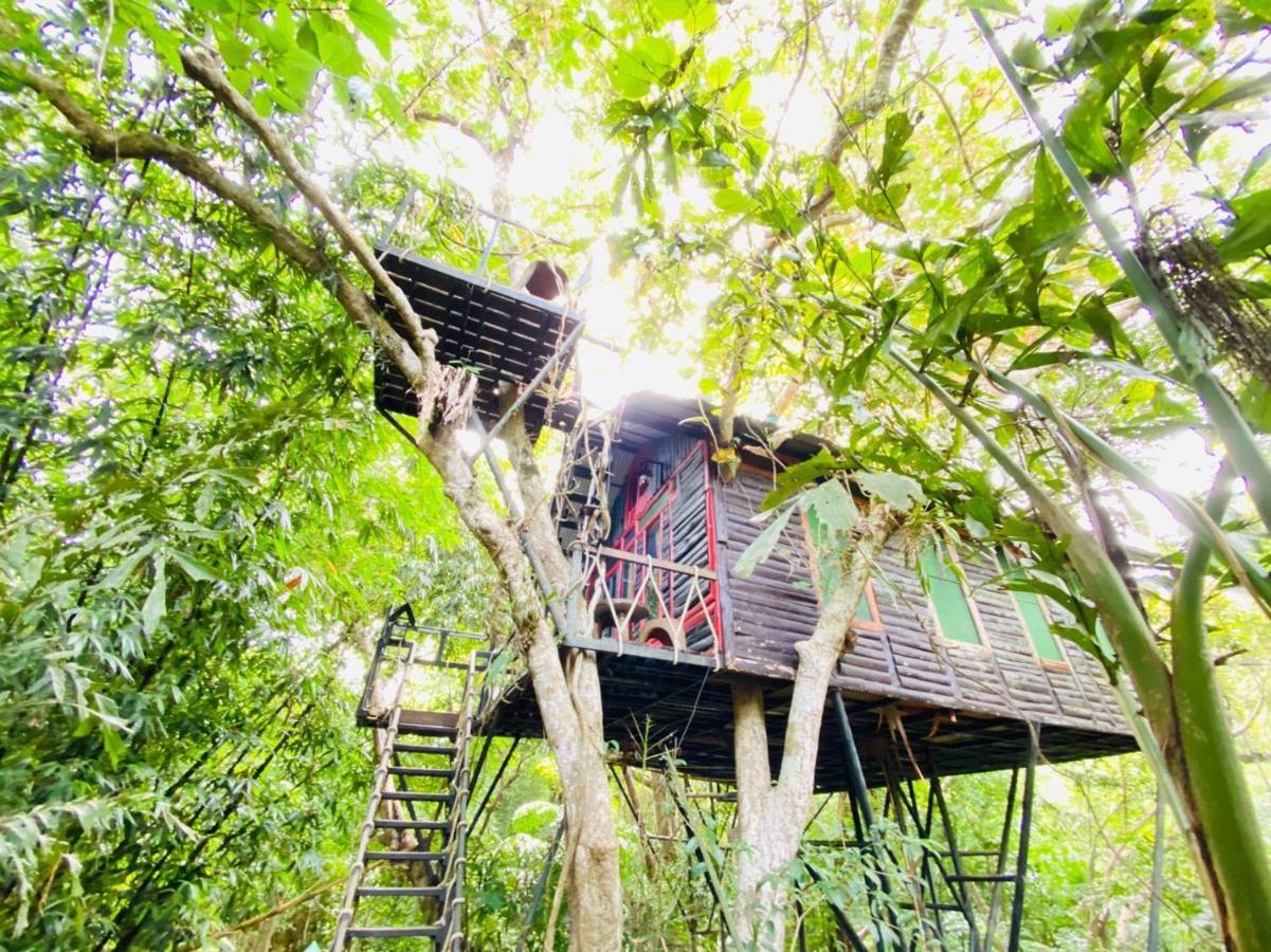Khao Sok Tree House Resort Khao Sok National Park Dış mekan fotoğraf