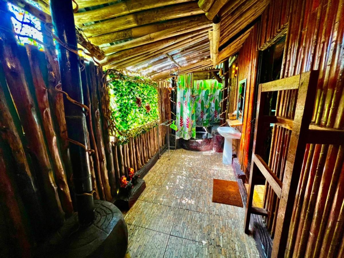 Khao Sok Tree House Resort Khao Sok National Park Dış mekan fotoğraf