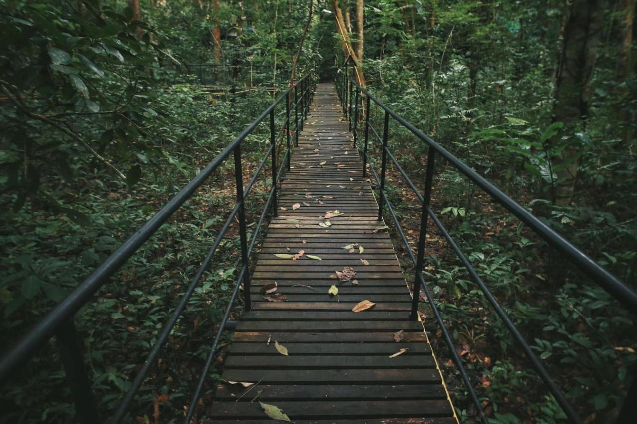 Khao Sok Tree House Resort Khao Sok National Park Dış mekan fotoğraf