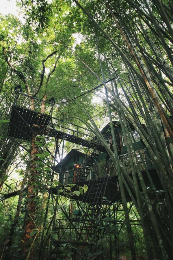 Khao Sok Tree House Resort Khao Sok National Park Dış mekan fotoğraf