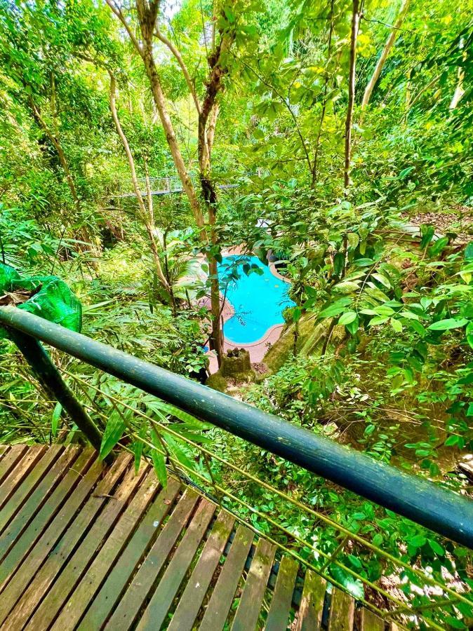 Khao Sok Tree House Resort Khao Sok National Park Dış mekan fotoğraf