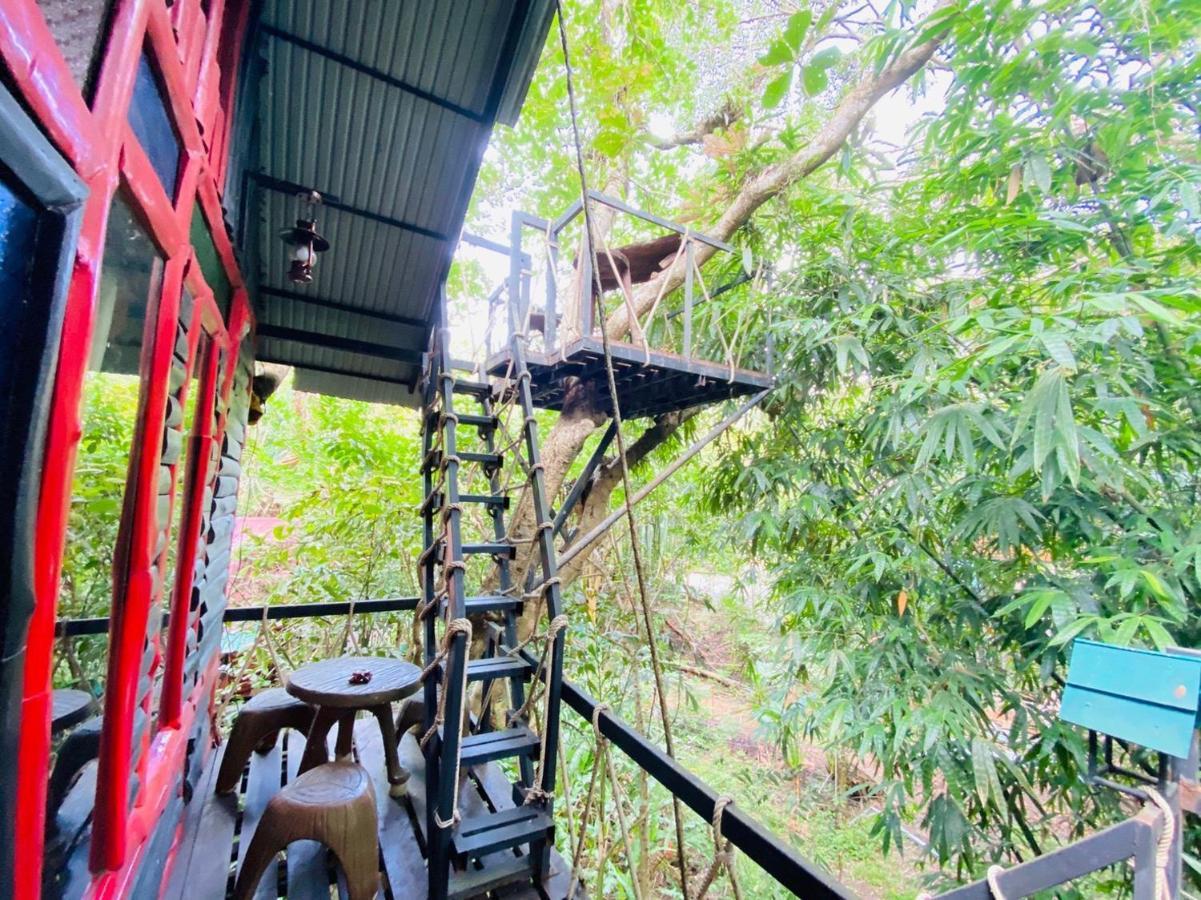 Khao Sok Tree House Resort Khao Sok National Park Dış mekan fotoğraf