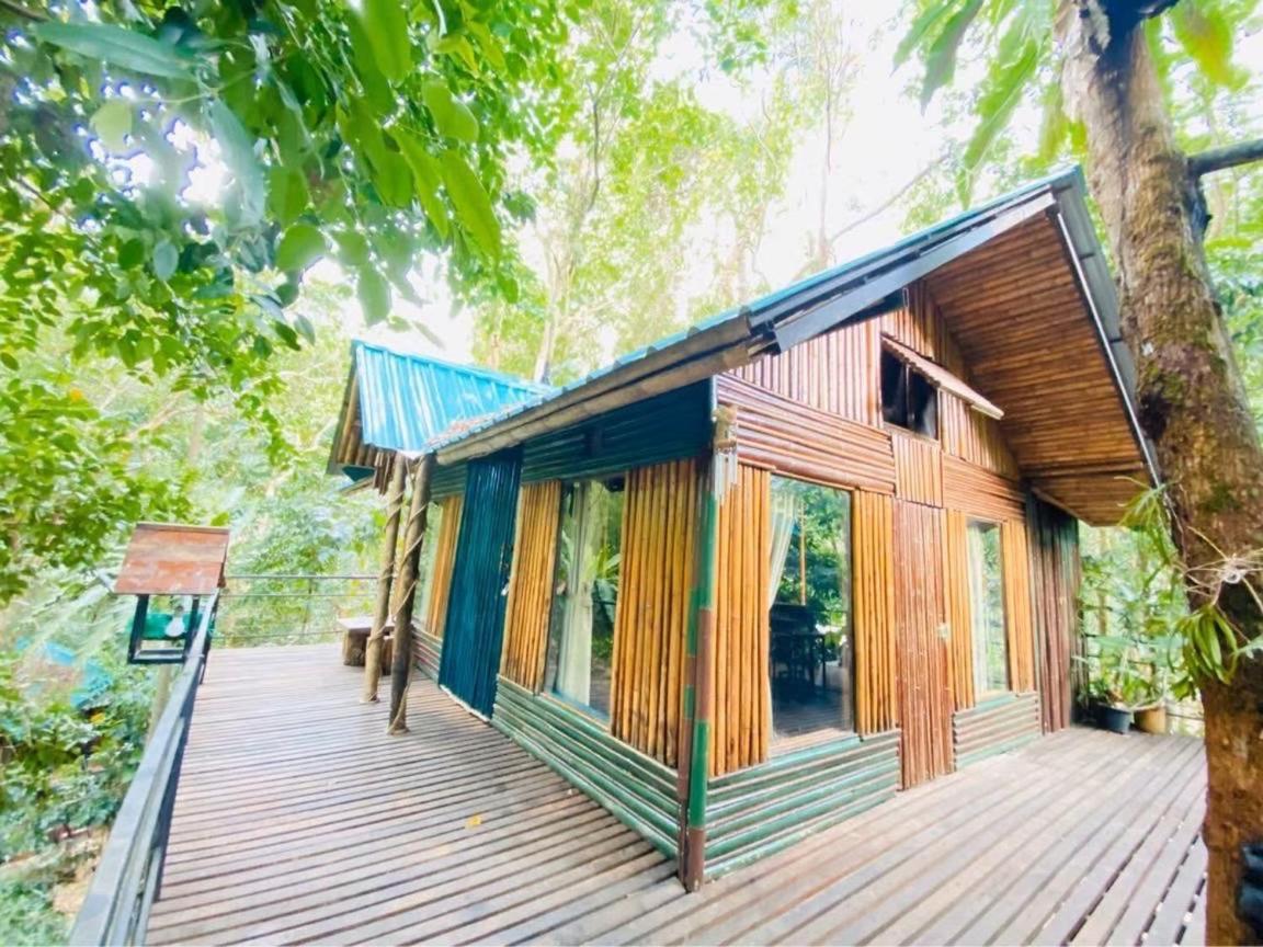 Khao Sok Tree House Resort Khao Sok National Park Dış mekan fotoğraf