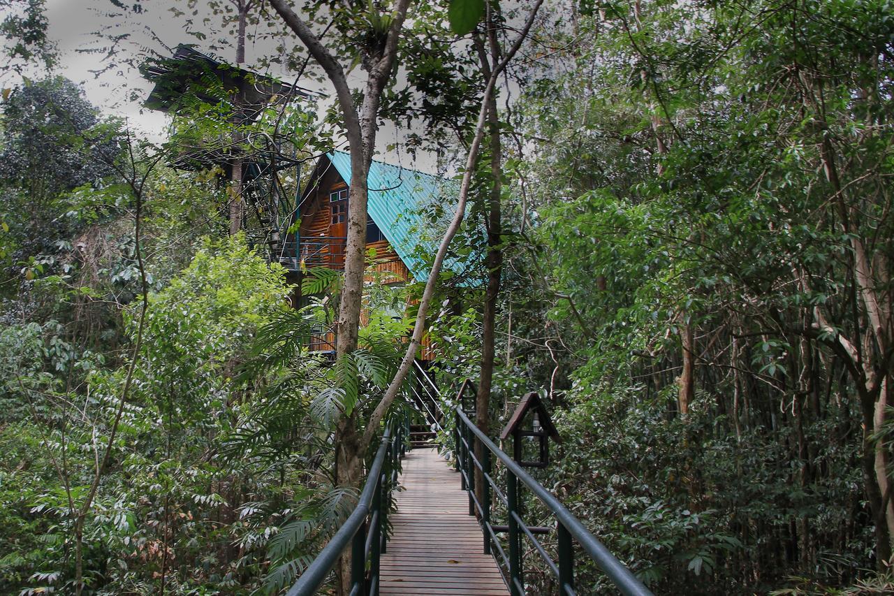 Khao Sok Tree House Resort Khao Sok National Park Dış mekan fotoğraf