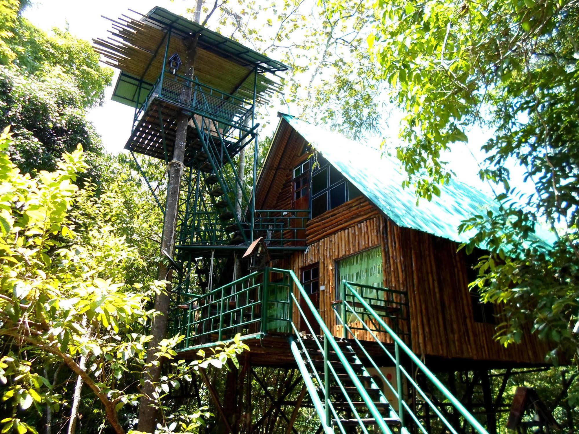 Khao Sok Tree House Resort Khao Sok National Park Dış mekan fotoğraf