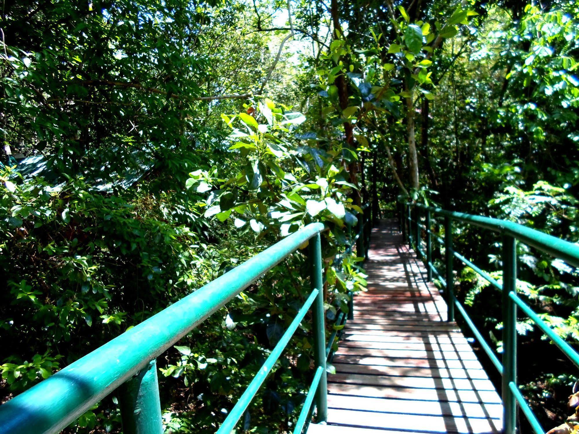 Khao Sok Tree House Resort Khao Sok National Park Dış mekan fotoğraf
