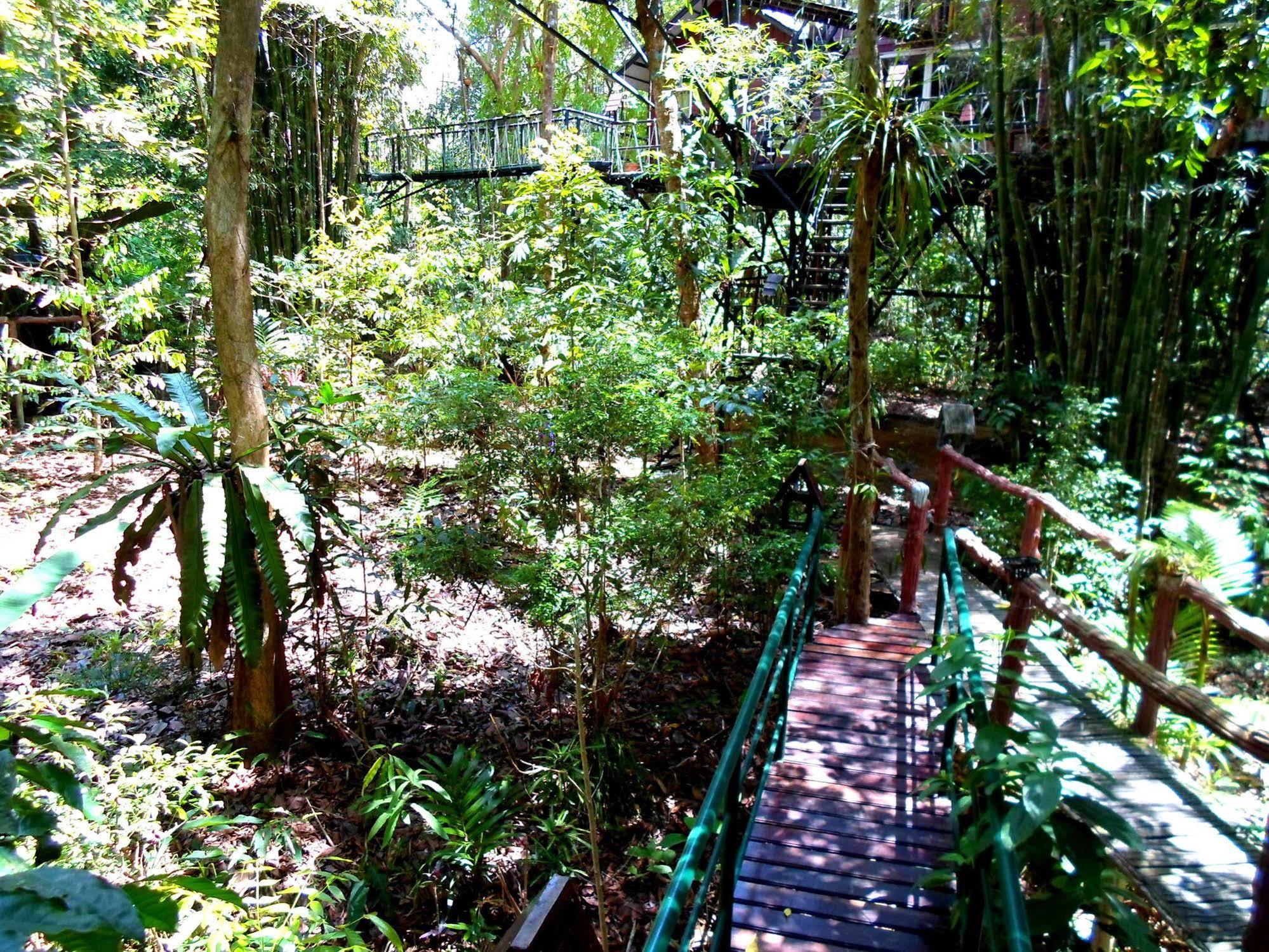 Khao Sok Tree House Resort Khao Sok National Park Dış mekan fotoğraf