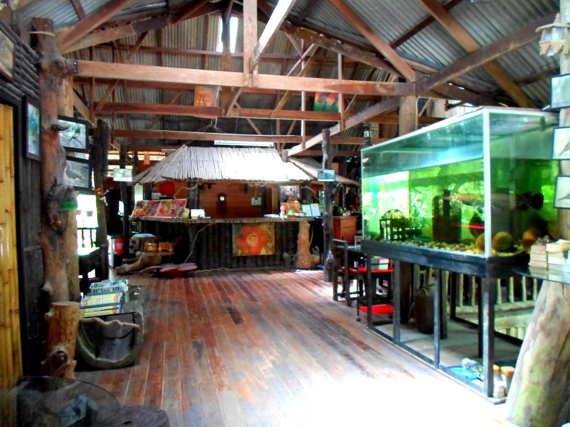 Khao Sok Tree House Resort Khao Sok National Park Dış mekan fotoğraf