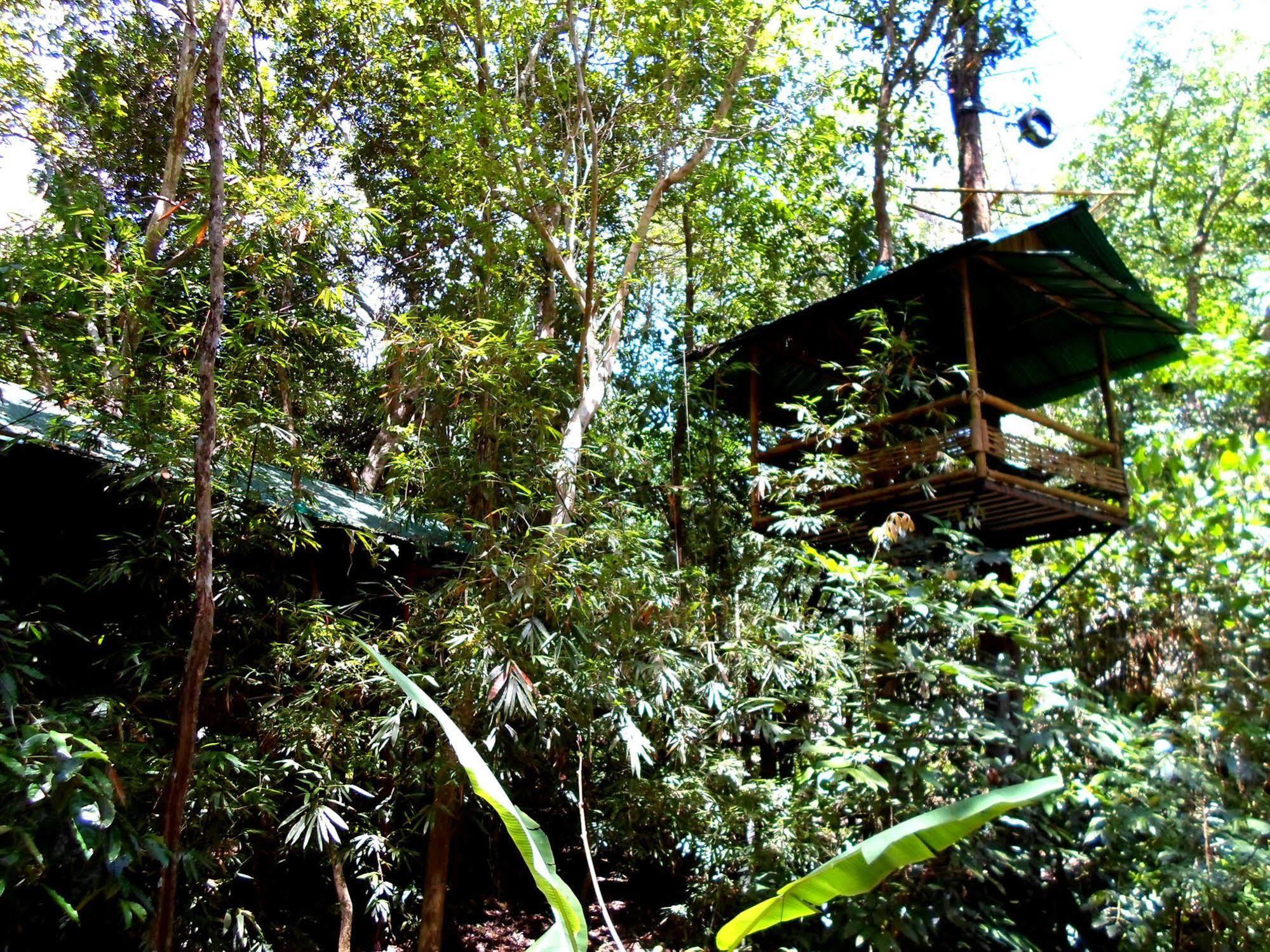 Khao Sok Tree House Resort Khao Sok National Park Dış mekan fotoğraf
