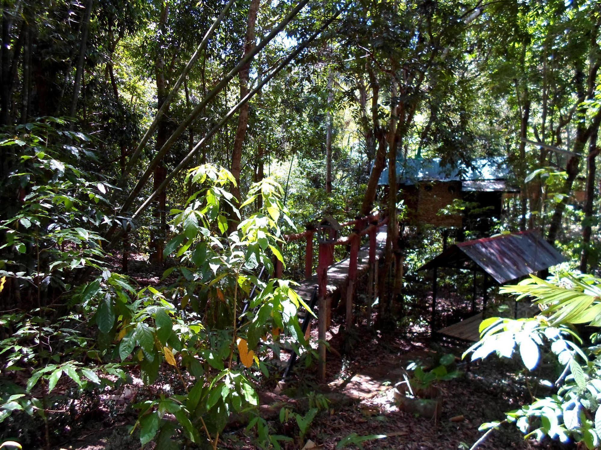 Khao Sok Tree House Resort Khao Sok National Park Dış mekan fotoğraf
