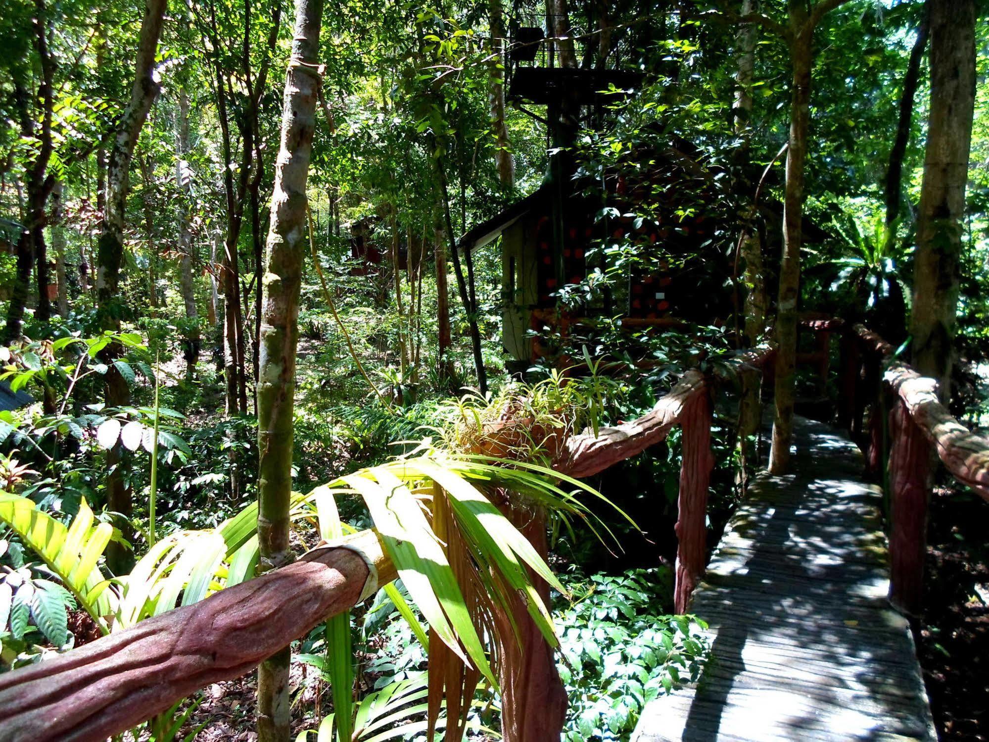 Khao Sok Tree House Resort Khao Sok National Park Dış mekan fotoğraf
