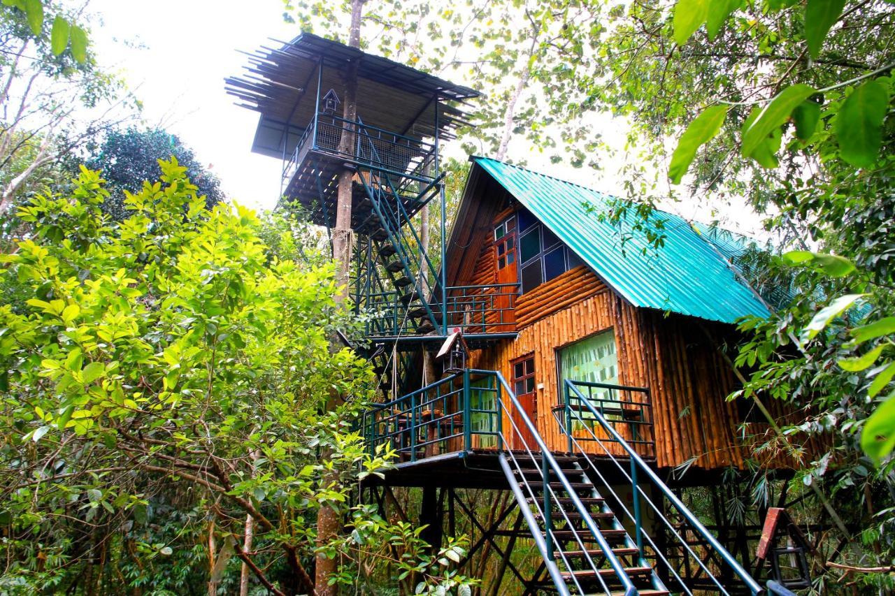 Khao Sok Tree House Resort Khao Sok National Park Dış mekan fotoğraf