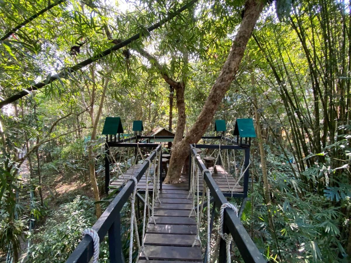 Khao Sok Tree House Resort Khao Sok National Park Dış mekan fotoğraf