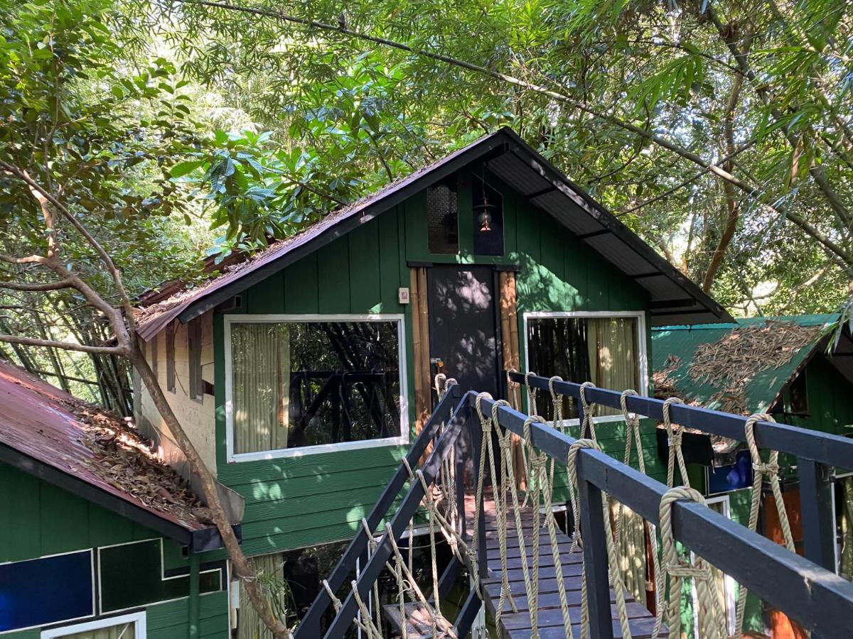 Khao Sok Tree House Resort Khao Sok National Park Dış mekan fotoğraf