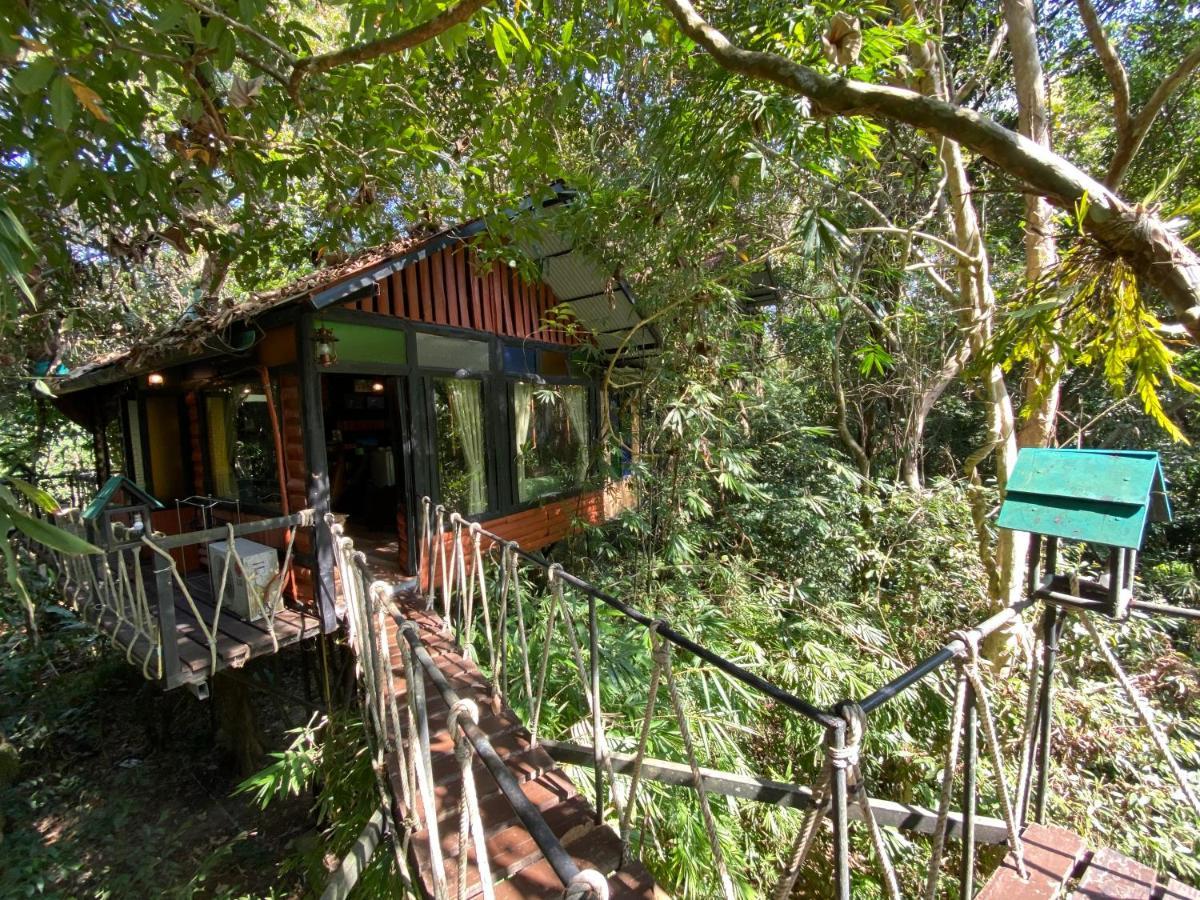 Khao Sok Tree House Resort Khao Sok National Park Dış mekan fotoğraf