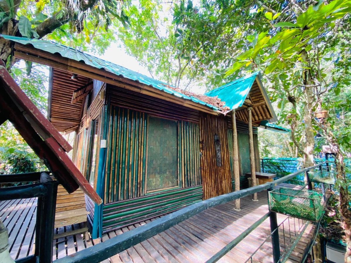 Khao Sok Tree House Resort Khao Sok National Park Dış mekan fotoğraf